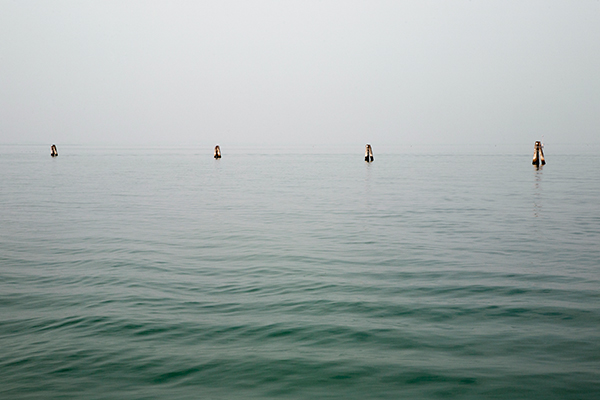 Michelle Grant | Stillness