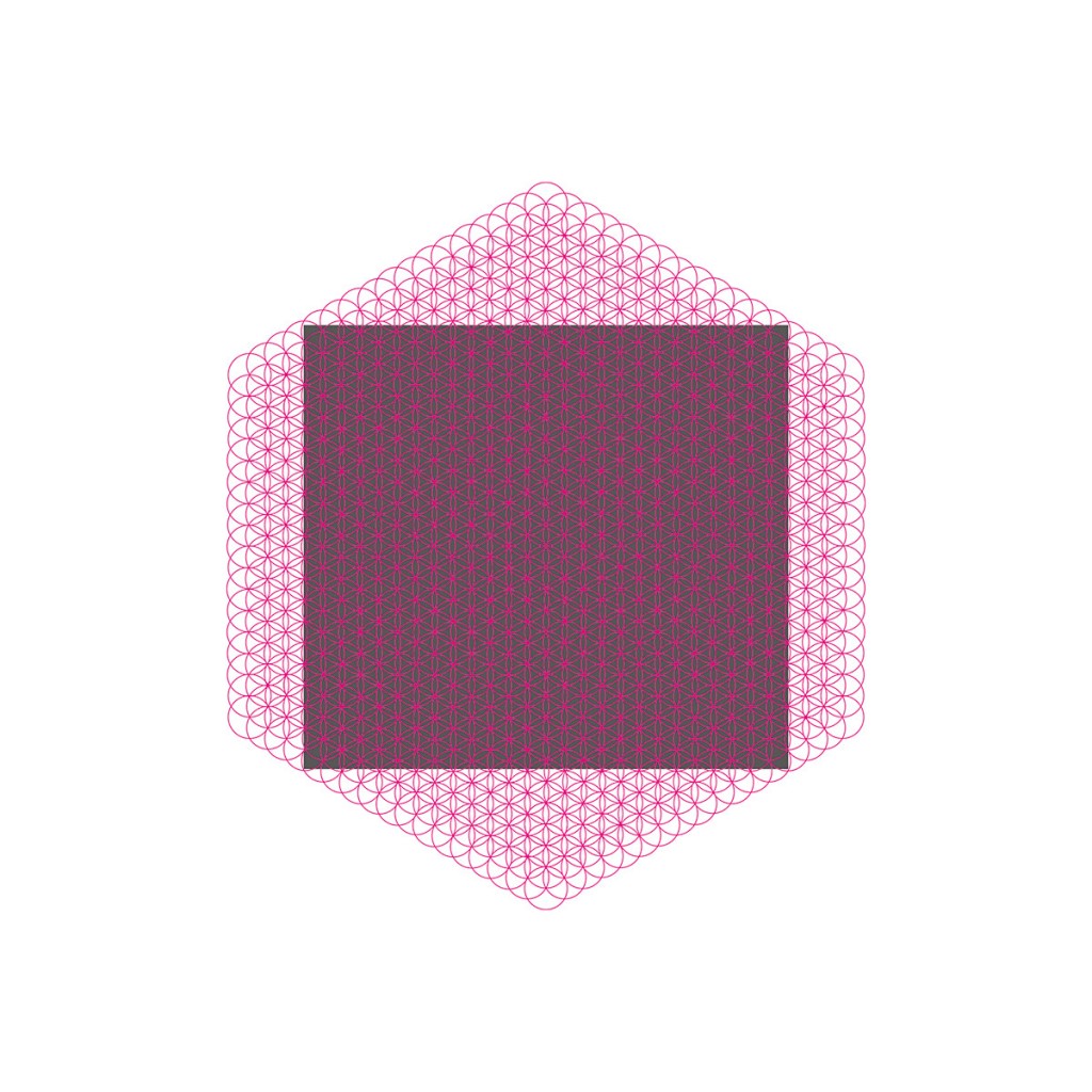 Michelle Grant Flower of life